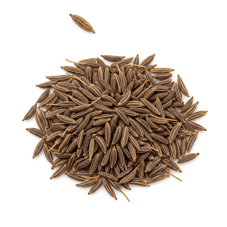 caraway seed