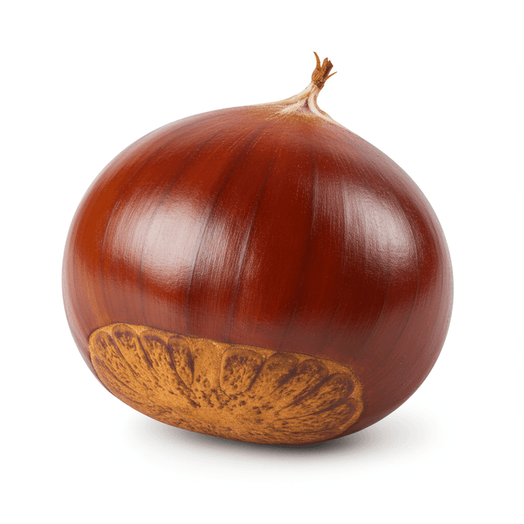 chestnut