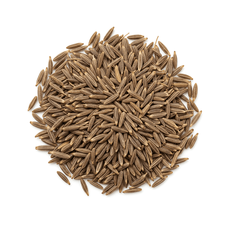 cumin seed