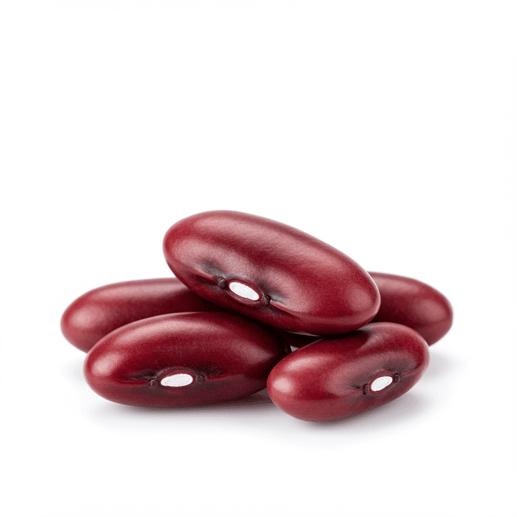 dark red kidney bean