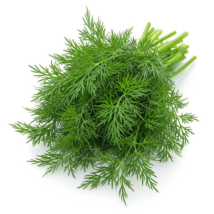 dill