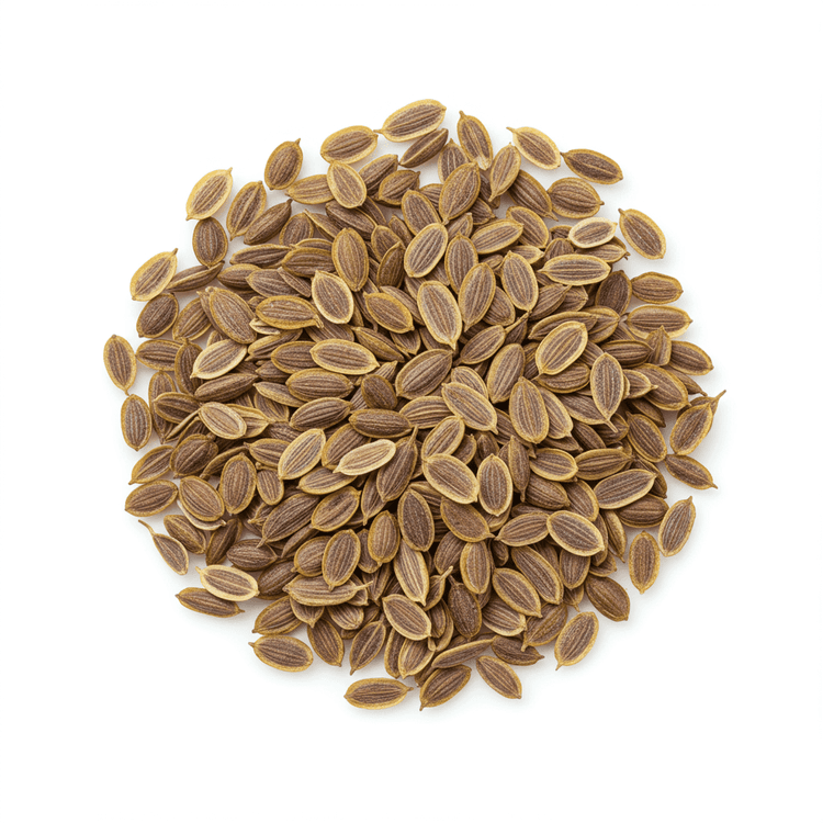dill seed