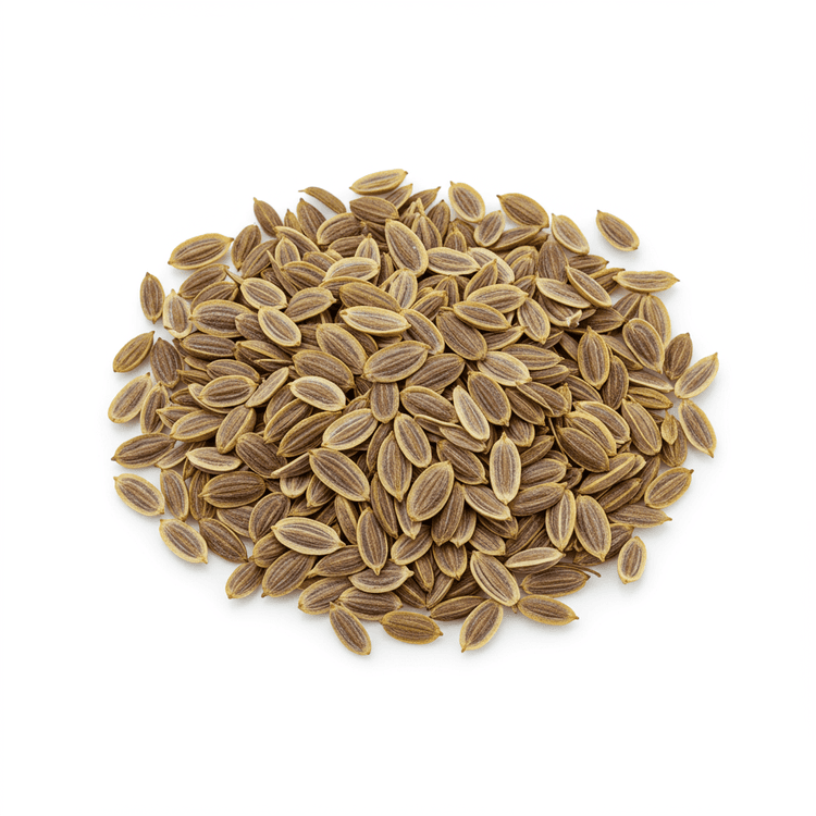 dill seed