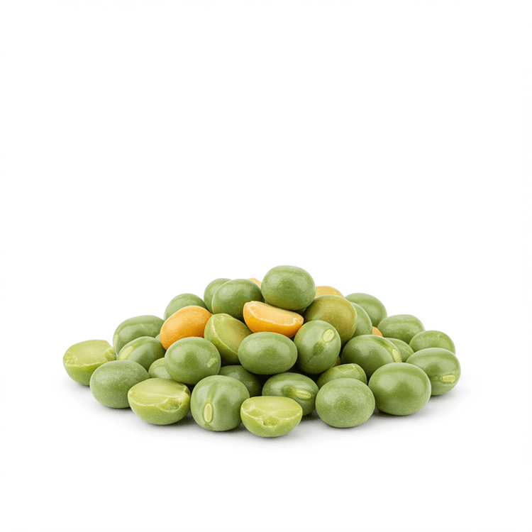 dried pea