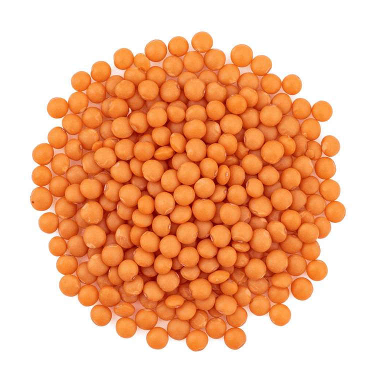dried red lentils