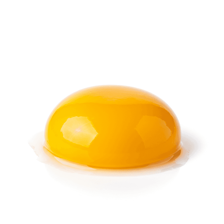 egg yolk