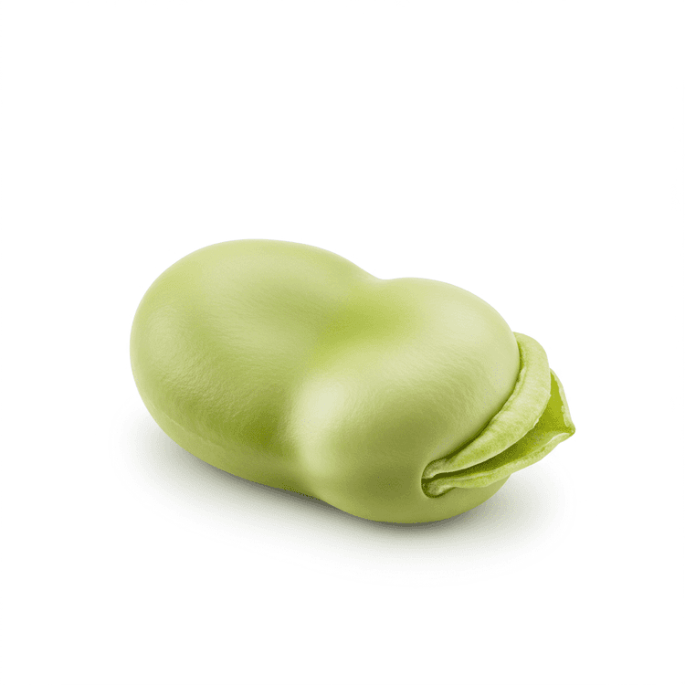 fava bean