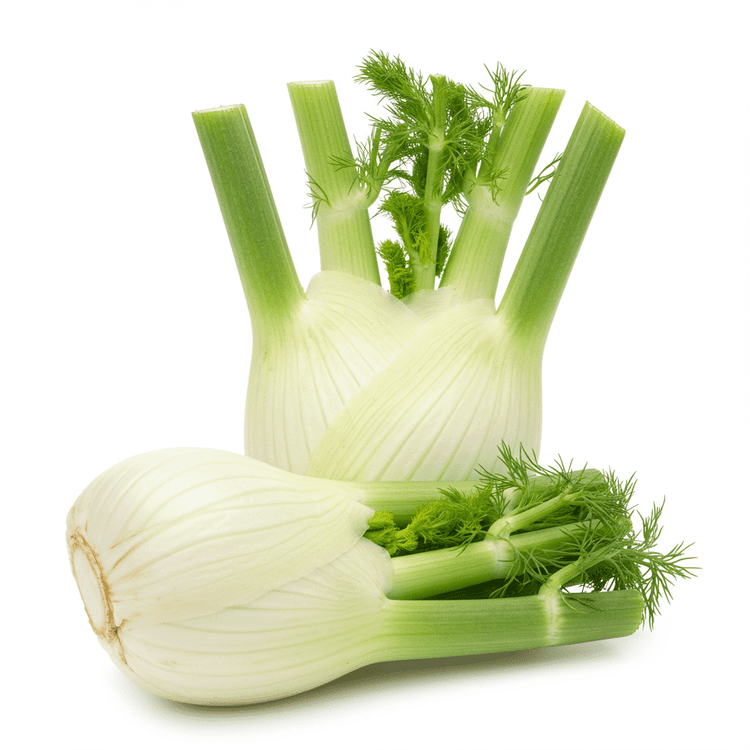 fennel