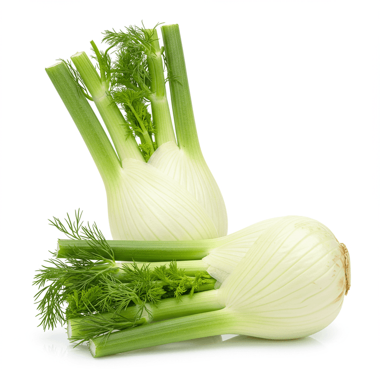 fennel