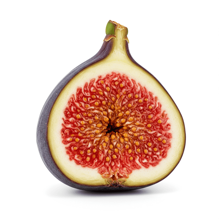 fig