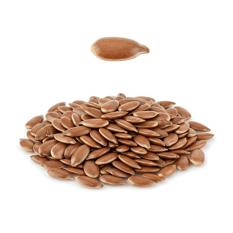 flax seed
