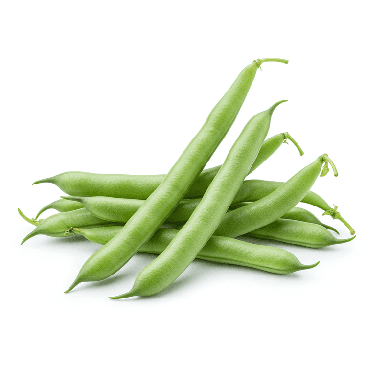 french bean