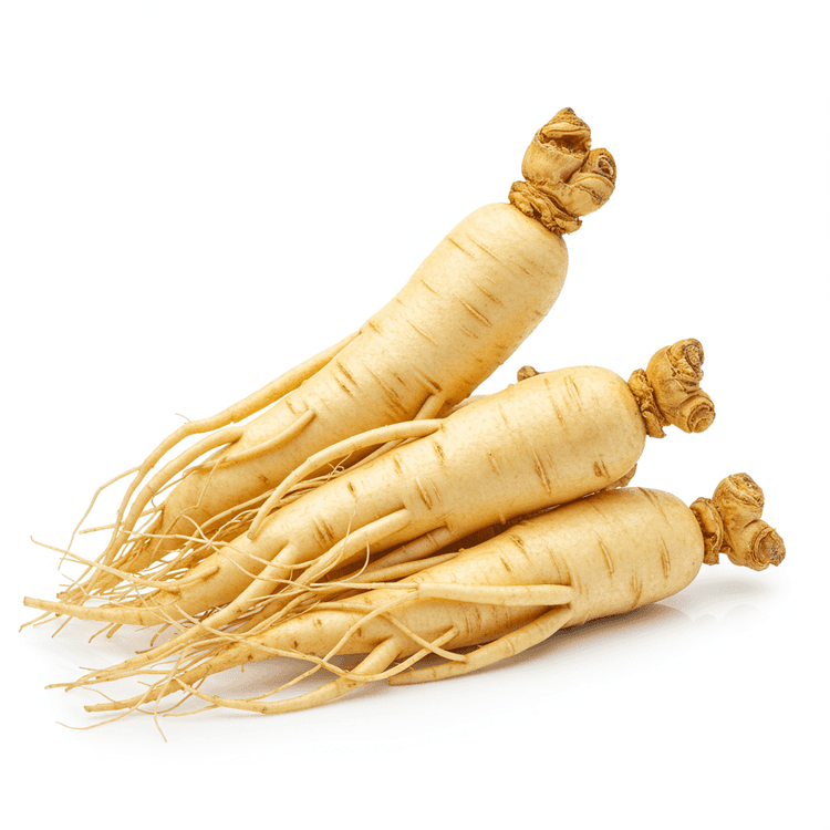 ginseng