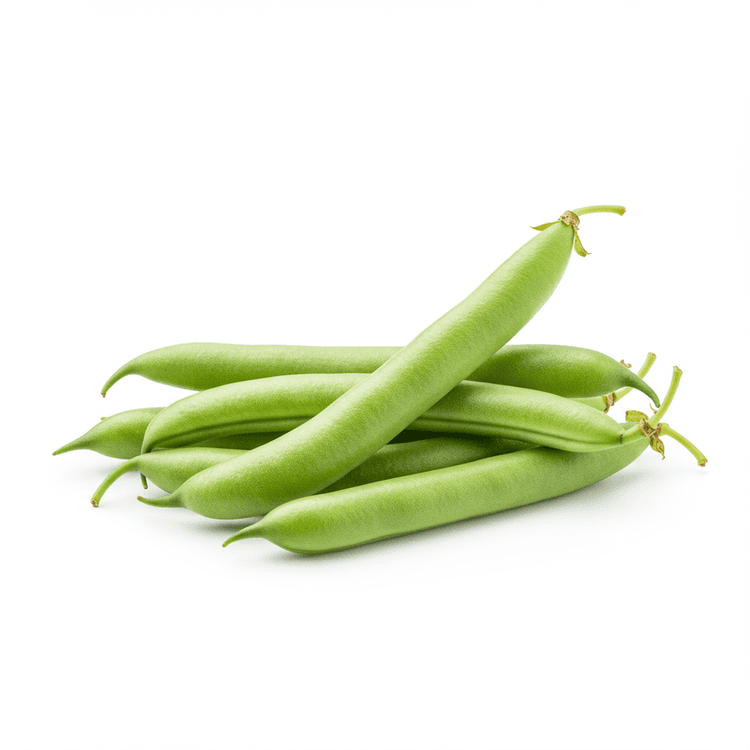 Green Bean