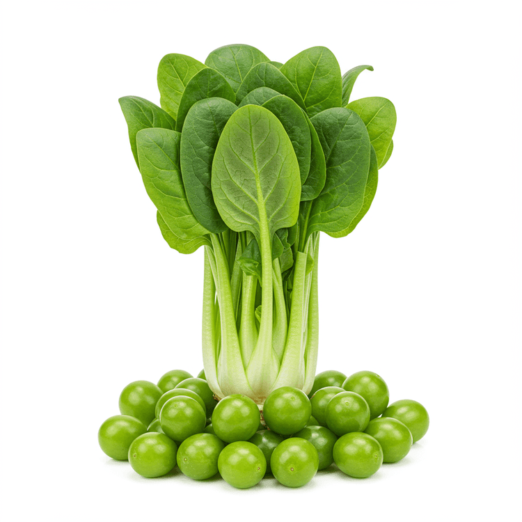 Greens
Generic Name: Green