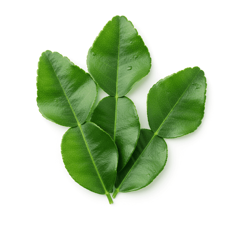 kaffir lime leaf