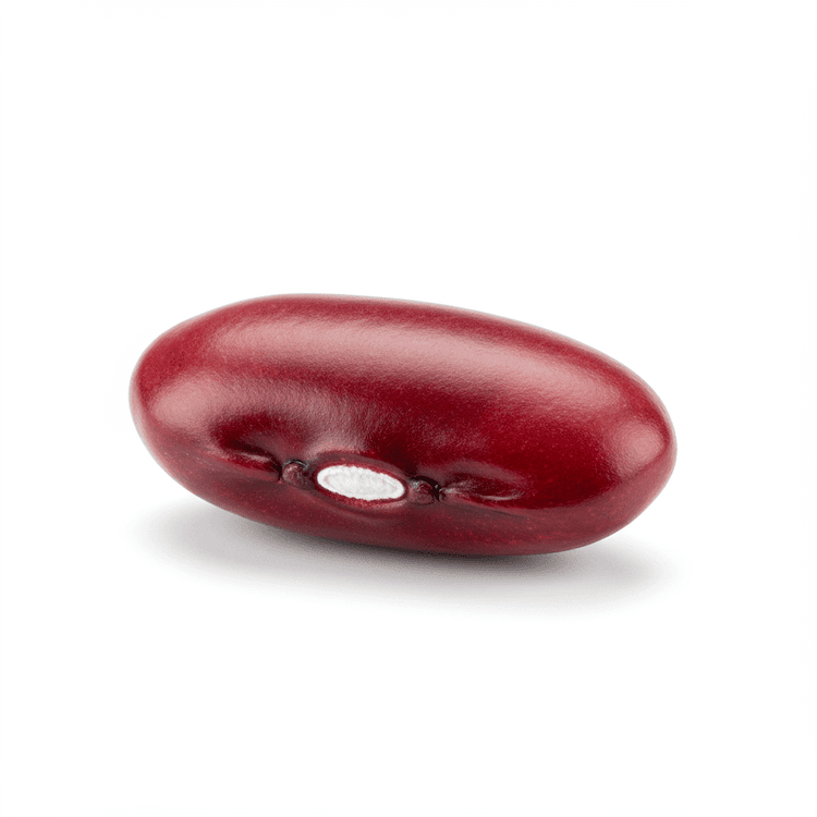 kidney bean