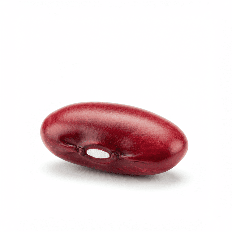 kidney bean