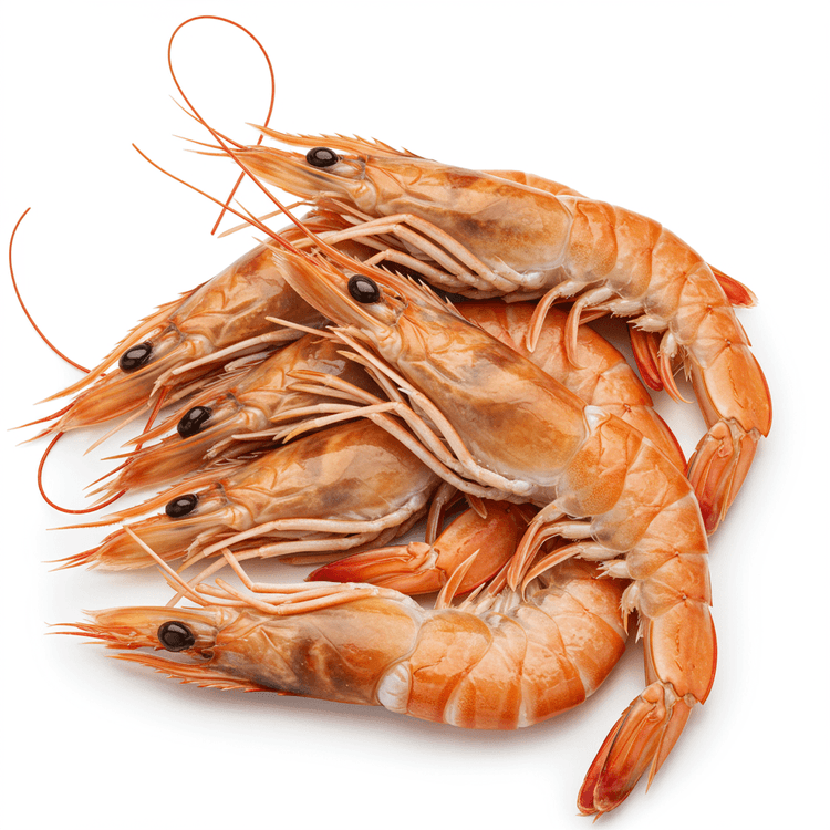 langoustine