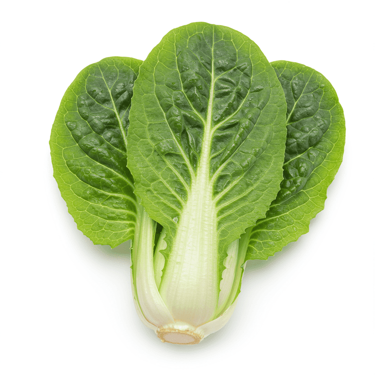 leafy vegetable