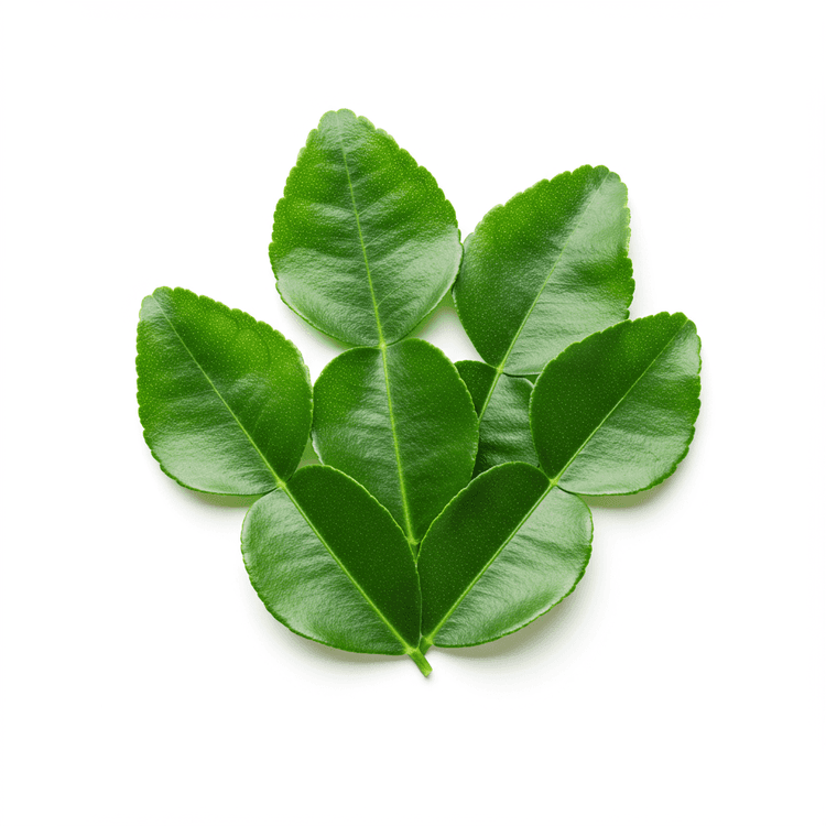 lime leaves