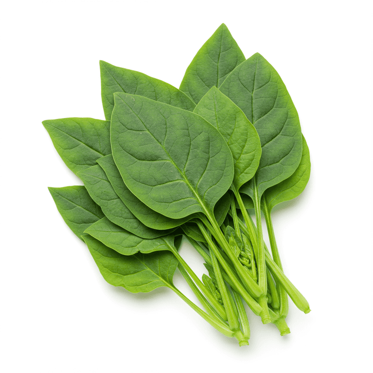 malabar spinach