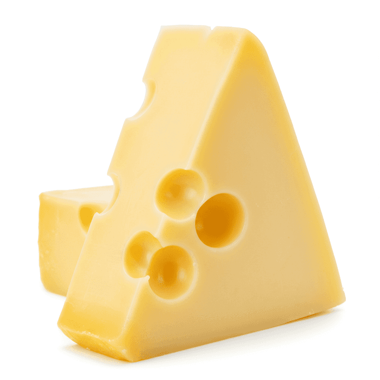 monterey jack cheese