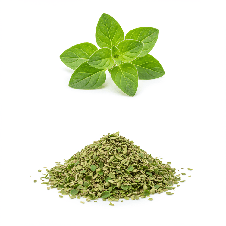 oregano
