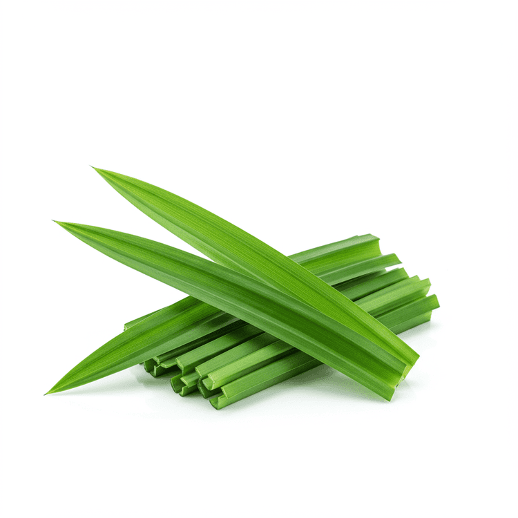 pandan leaf