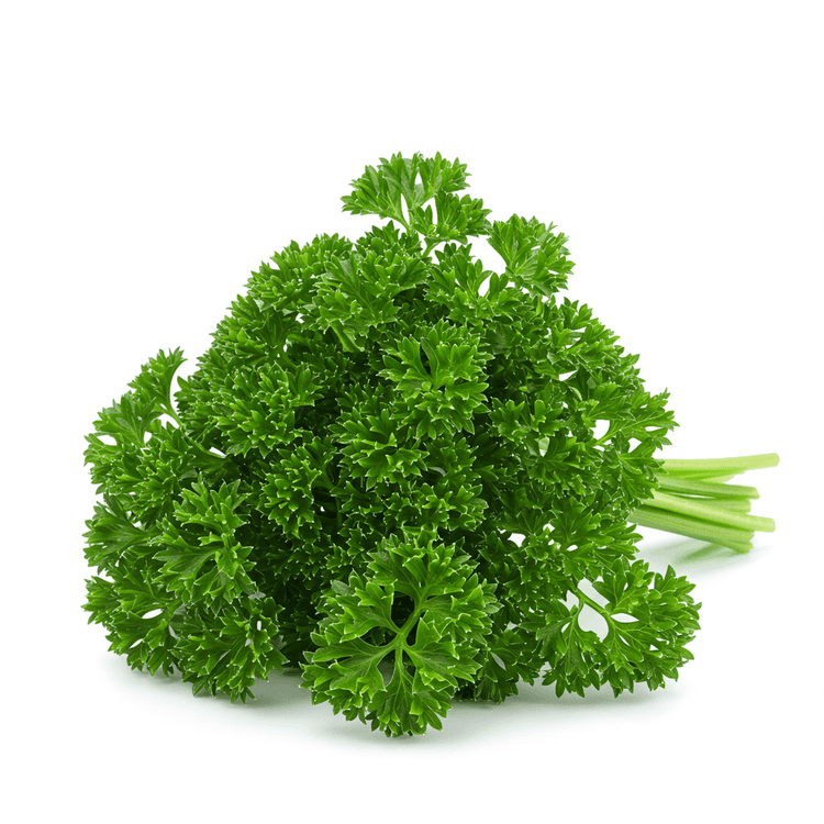parsley