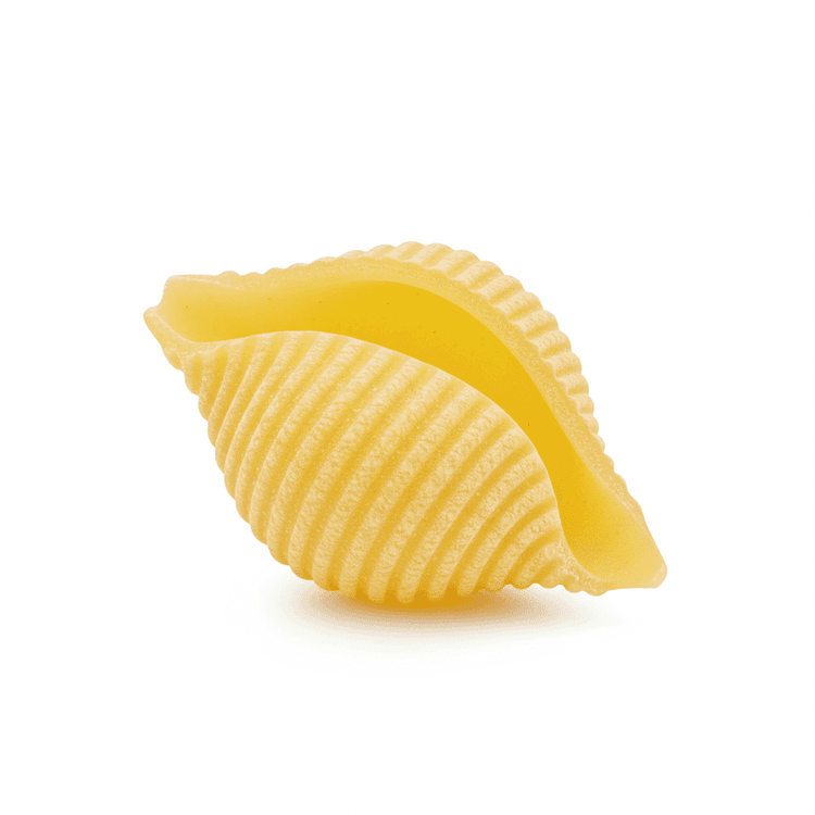 pasta shell