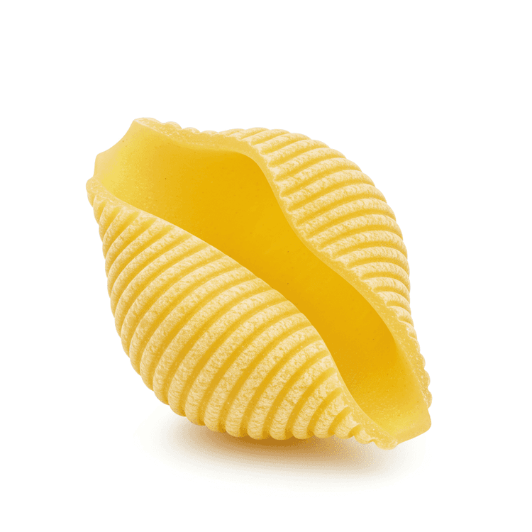 pasta shell