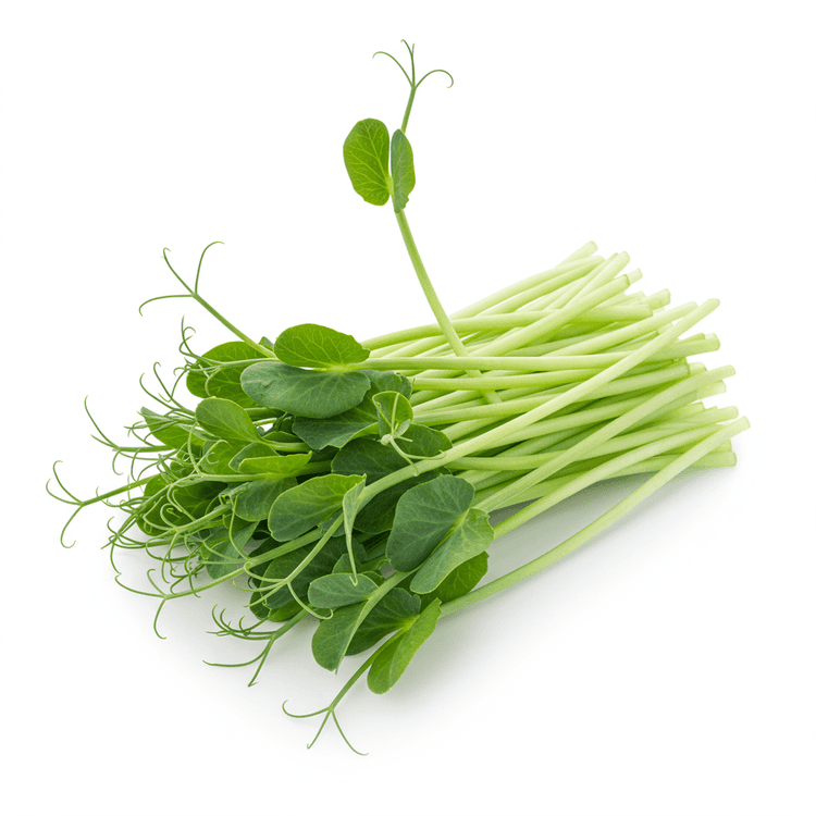 pea shoot