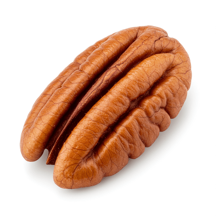 pecan