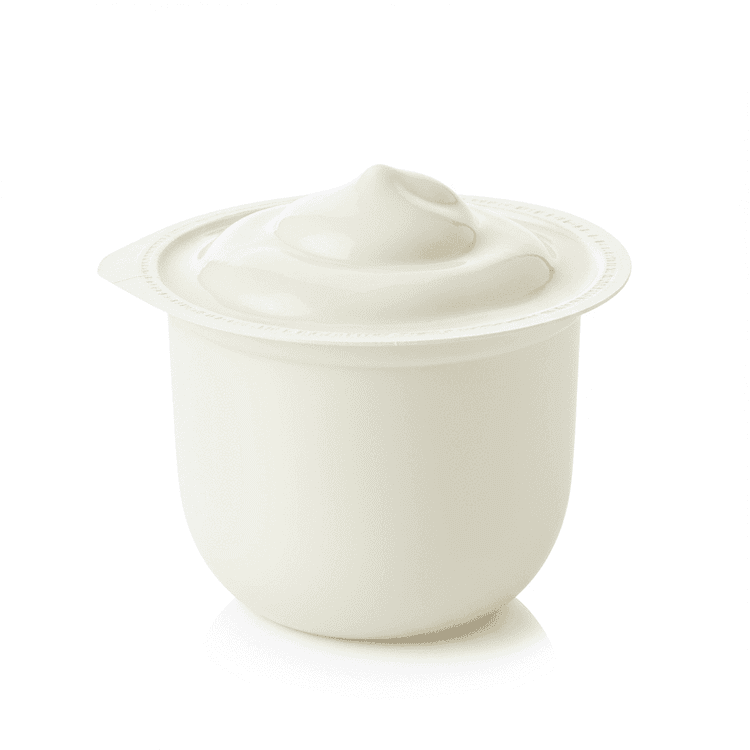 plain yogurt