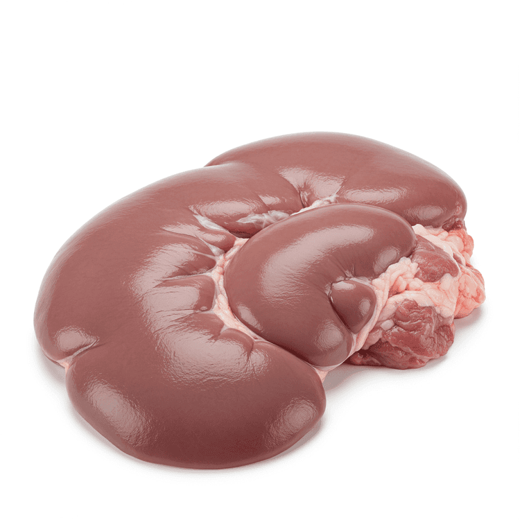 pork kidney