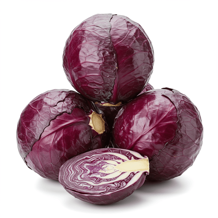 red cabbage