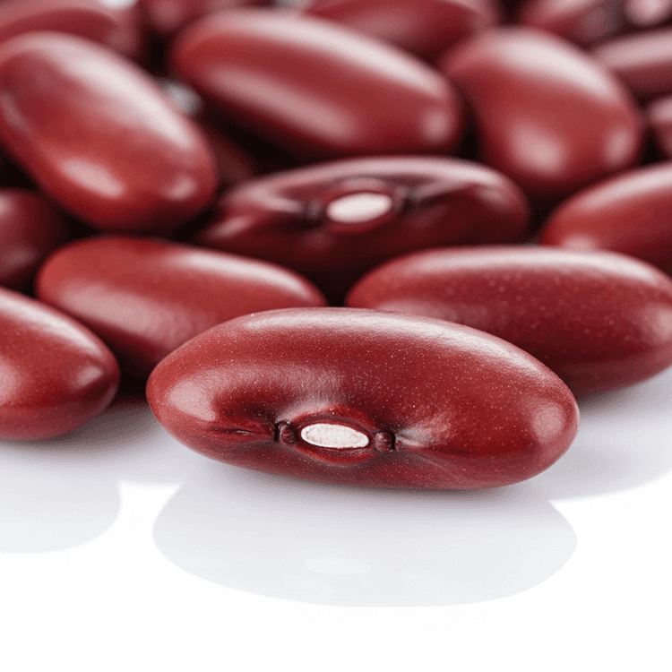 red kidney bean