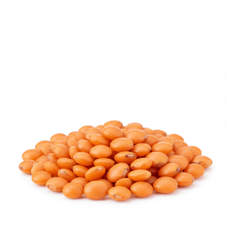 red lentil