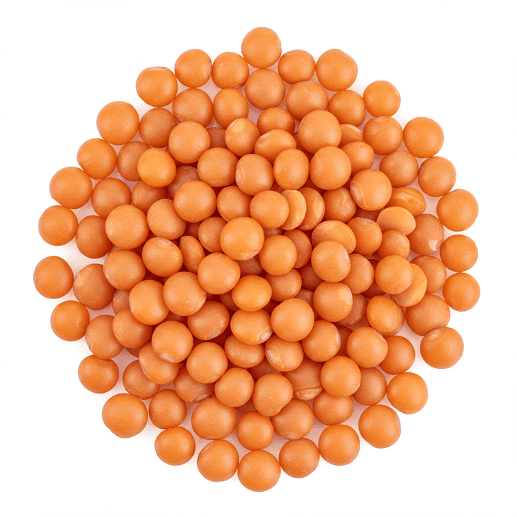 red lentil