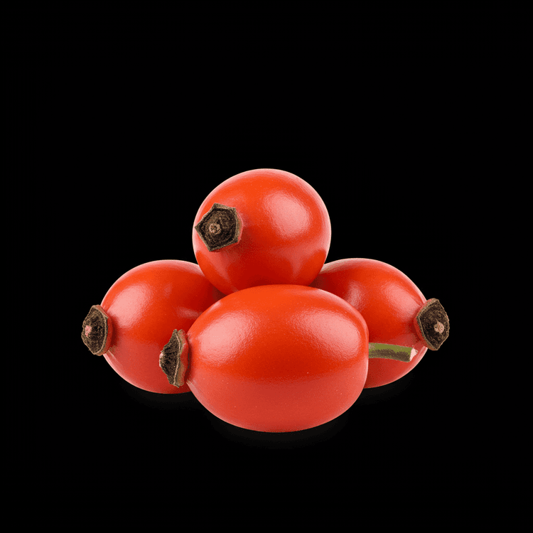 rose hip