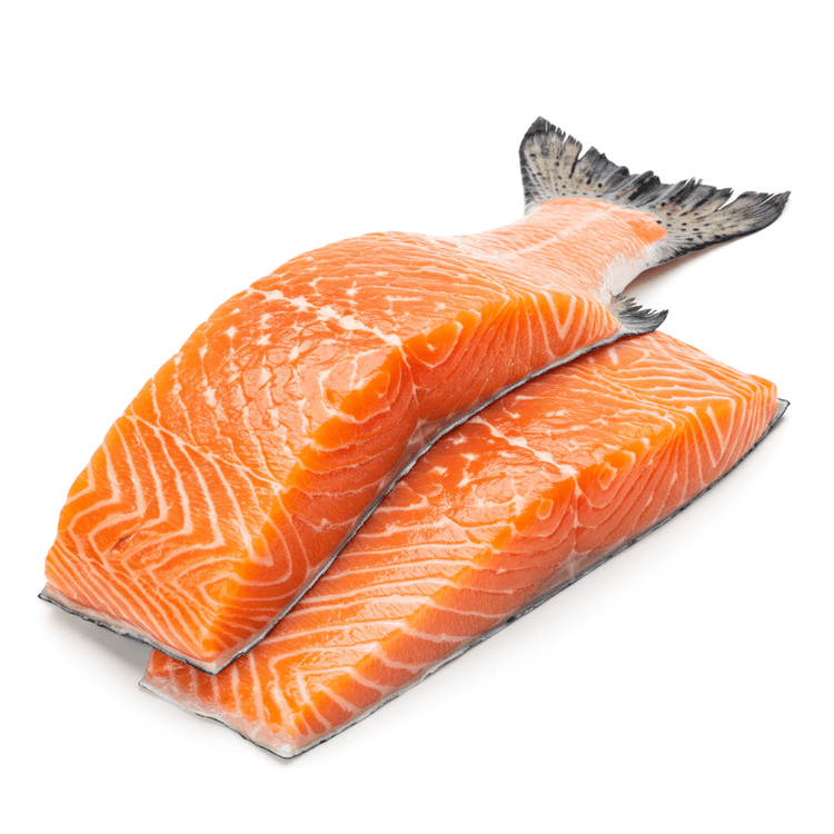 salmon