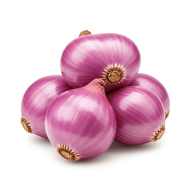 shallot