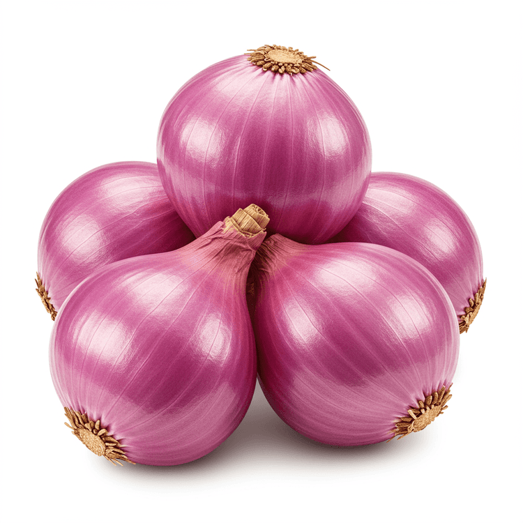 shallot