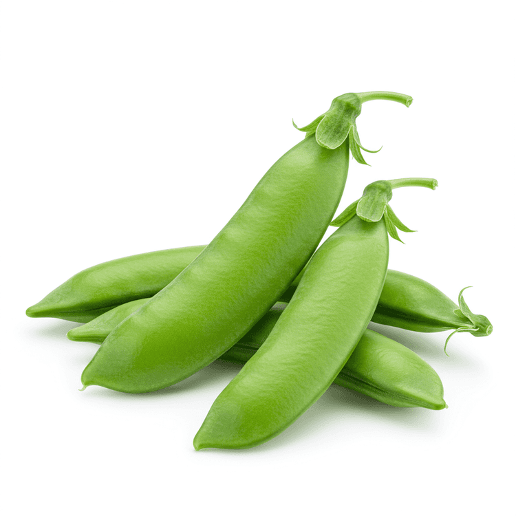 snow pea