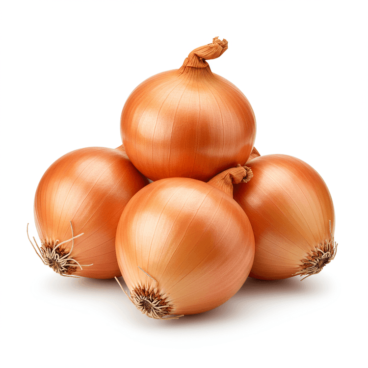 spanish onion