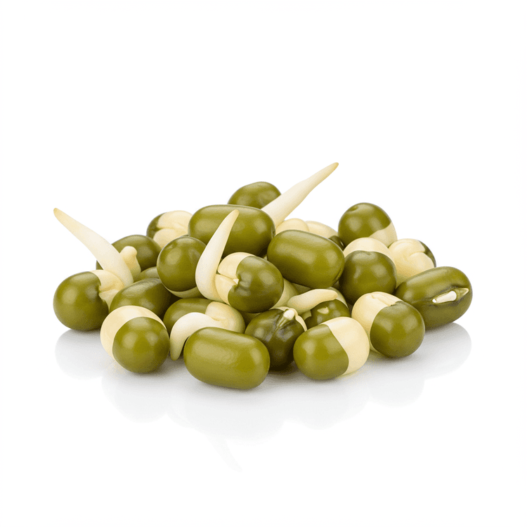 sprouted mung bean