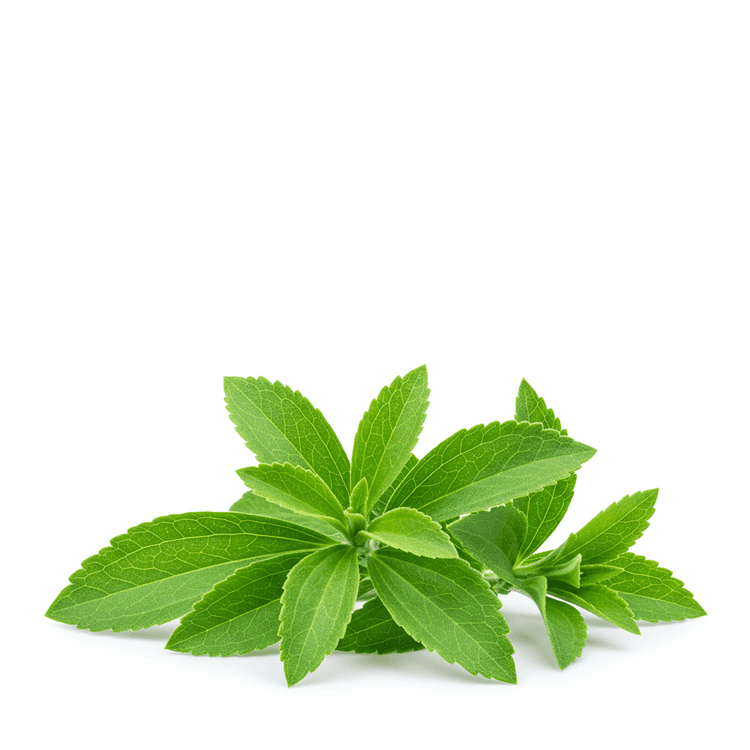 stevia