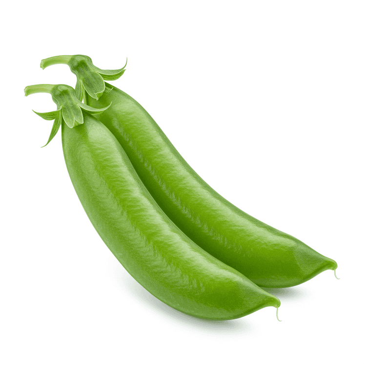 sugar snap pea