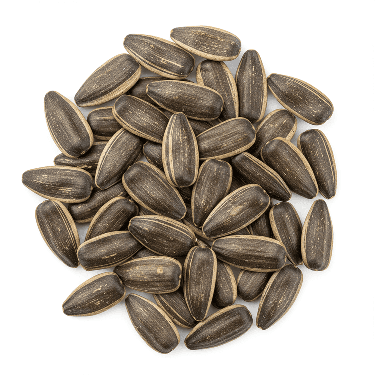 sunflower seed parmesan